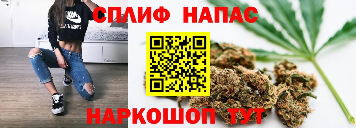 Луга  Бошки Шишки ГИДРОПОН  Марихуана MAZAR  Марихуана сатива  Вход с VPN 